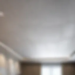 Contemporary ceiling design showcasing modern materials