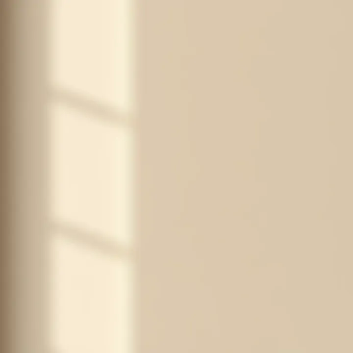 Different shades of beige on a wall sample