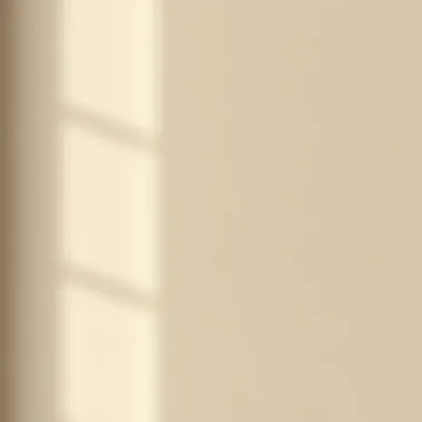 Shades of Beige on Wall Sample Different shades of beige on a wall sample