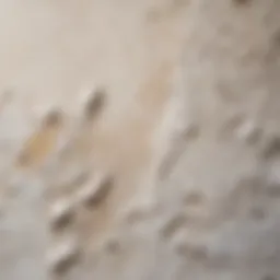Close-up of a textured wall surface showing paint and plaster interactions