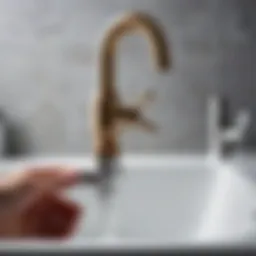 Components of a sink siphon