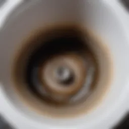 Clogged toilet drain