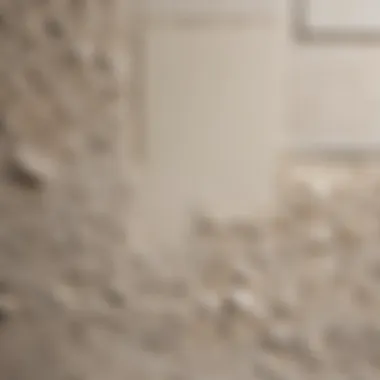 Influence of temperature on plaster properties