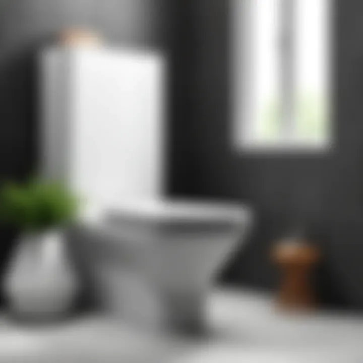 Comfort and Usability in Toilet Bowl Shapes Functional toilet bowl shape emphasizing comfort and usability