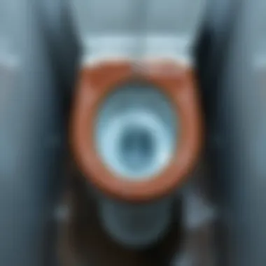 Continuous water flow in a toilet bowl