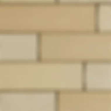 Detailed View of Turtle Panel Material Close-up of turtle panel texture and material