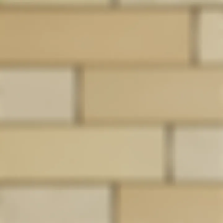 Detailed View of Turtle Panel Material Close-up of turtle panel texture and material