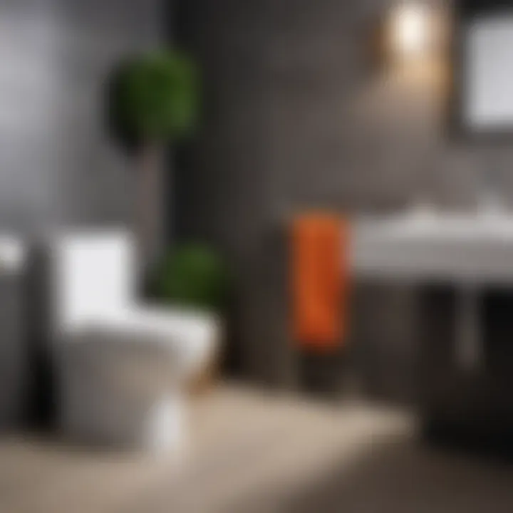 Different types of toilet installations