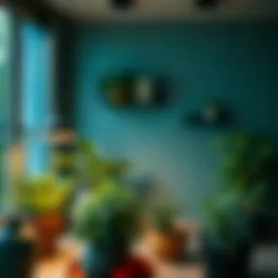 УФ лампа для растений: как выбрать и купить Introduction