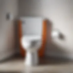 Diagram illustrating common causes of toilet running