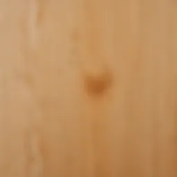 Close-up view of USB plywood surface