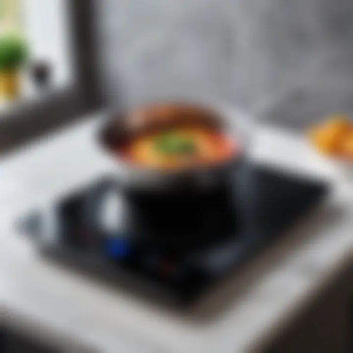 Compact induction cooktop showcasing sleek design and features