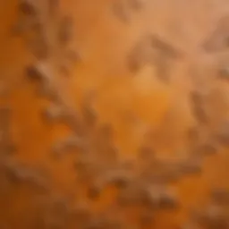 Close-up view of Venetian plaster texture