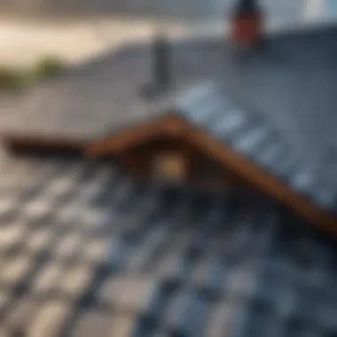Weather Impact on Roofing Choices Weather impact on flexible roofing choices