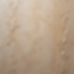 Smooth texture of wet silk plaster on a wall