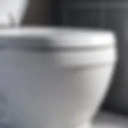 Close-up of a toilet tank with visible water leak