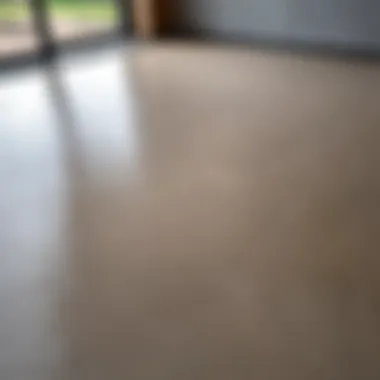 Freshly Poured Screed Surface Freshly poured screed demonstrating a smooth surface