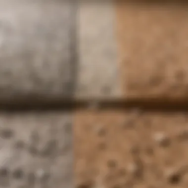 Comparison of Screed Types Visual comparison of different types of screed materials
